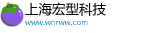 上海宏型科技